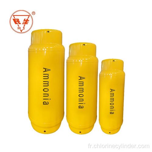 Cylindre d&#39;ammoniac à gaz liquide vide sans soudure soudée